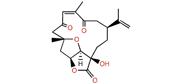Coralloidolide D